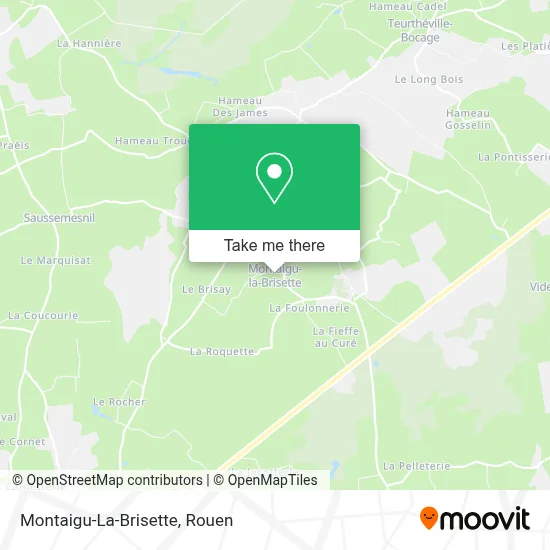 Montaigu-La-Brisette map