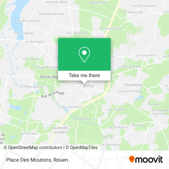 Place Des Moutons map