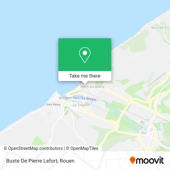 Buste De Pierre Lefort map