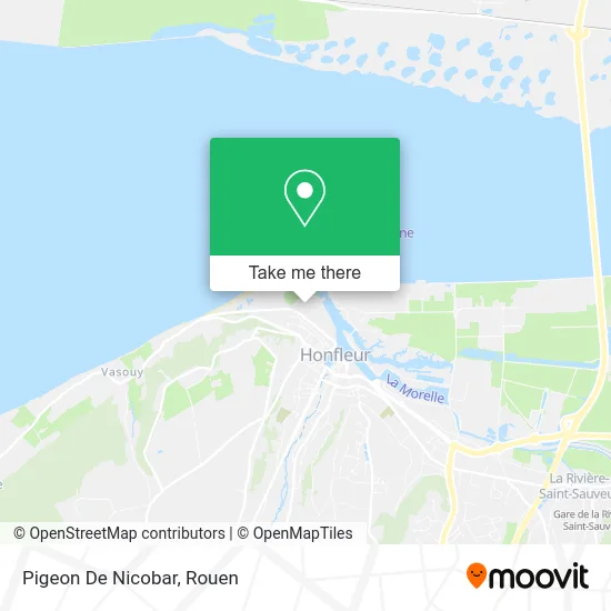 Pigeon De Nicobar map