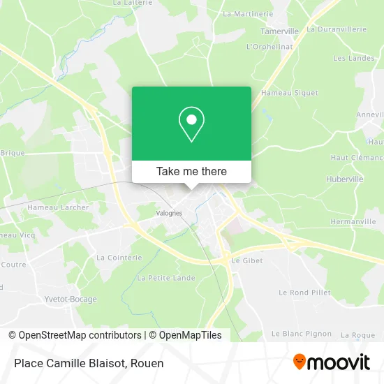 Place Camille Blaisot map