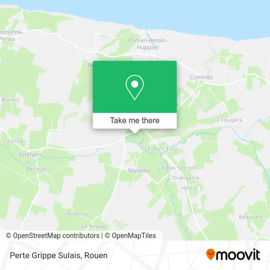 Perte Grippe Sulais map