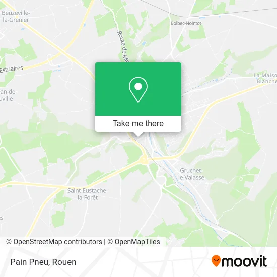 Pain Pneu map
