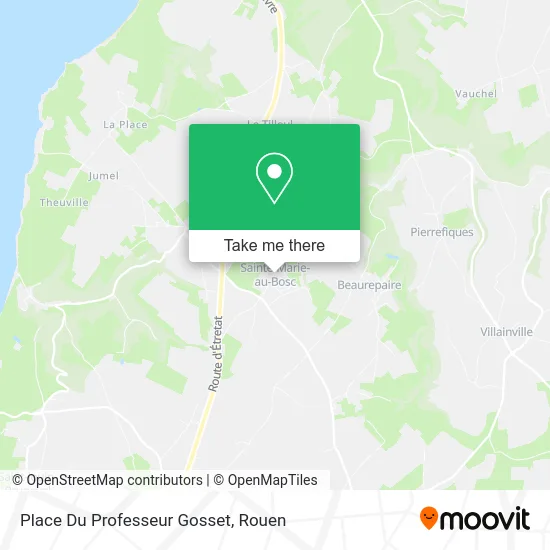 Place Du Professeur Gosset map
