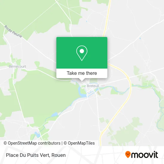 Place Du Puits Vert map