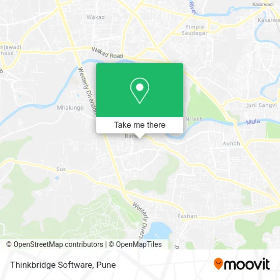 Thinkbridge Software map