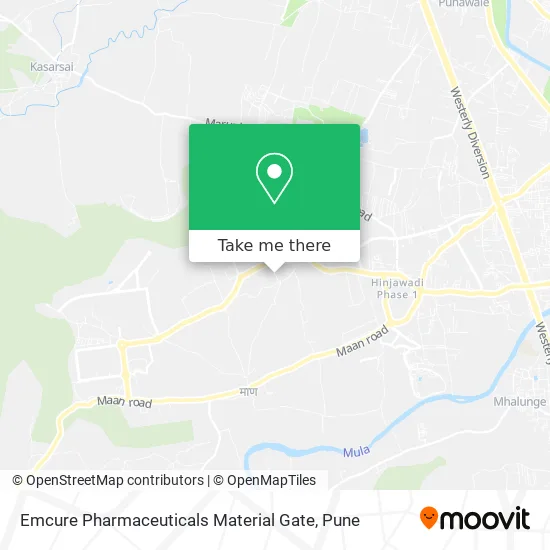 Emcure Pharmaceuticals Material Gate map