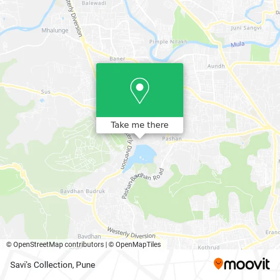 Savi's Collection map