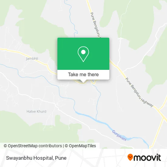 Swayanbhu Hospital map