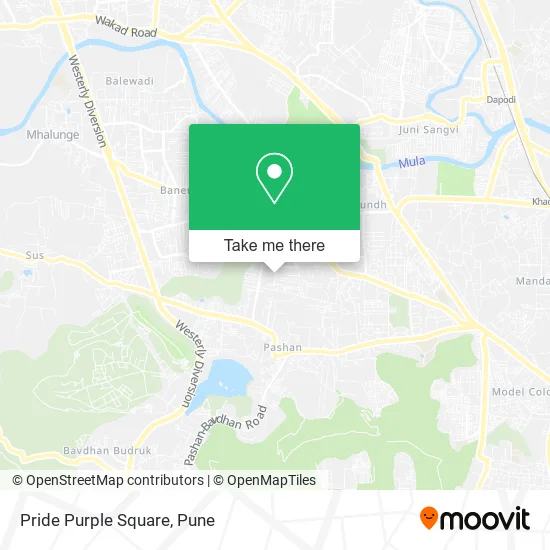 Pride Purple Square map