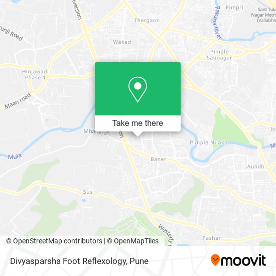 Divyasparsha Foot Reflexology map