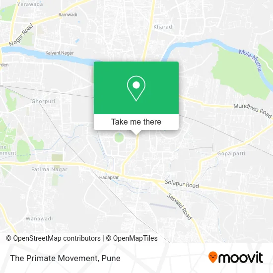 The Primate Movement map