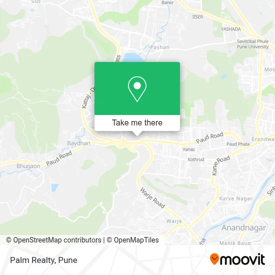 Palm Realty map