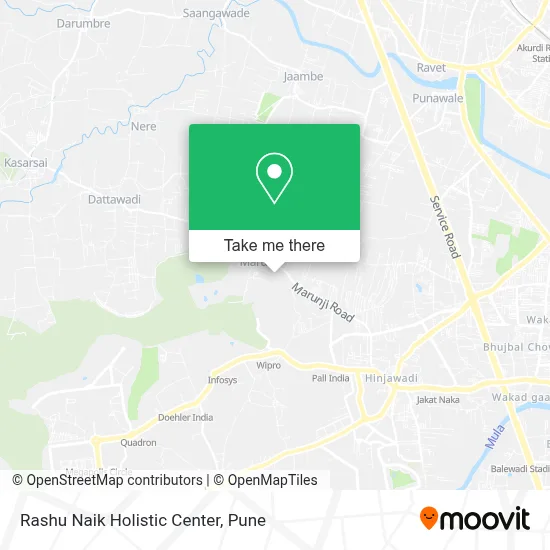 Rashu Naik Holistic Center map