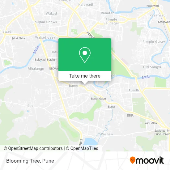 Blooming Tree map