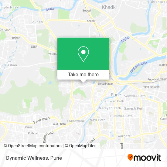 Dynamic Wellness map