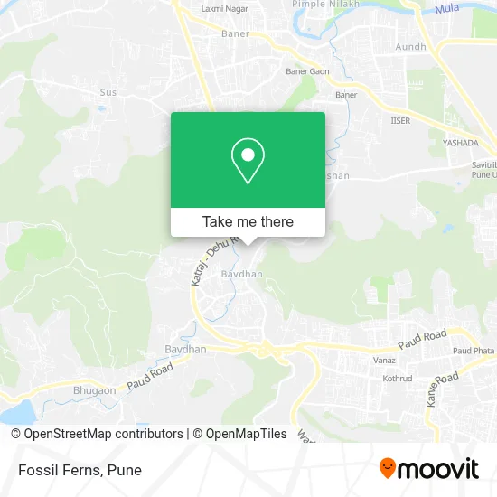 Fossil Ferns map