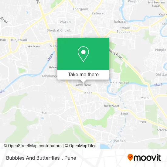 Bubbles And Butterflies_ map