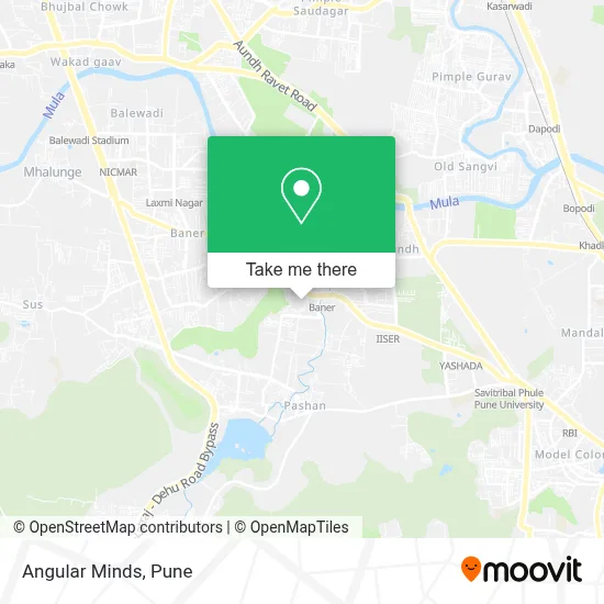 Angular Minds map