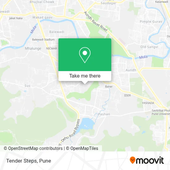 Tender Steps map