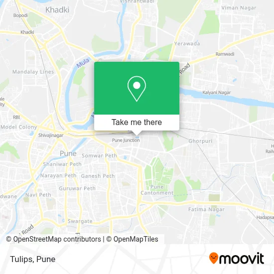 Tulips map