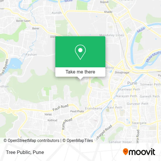 Tree Public map