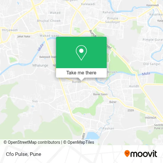 Cfo Pulse map
