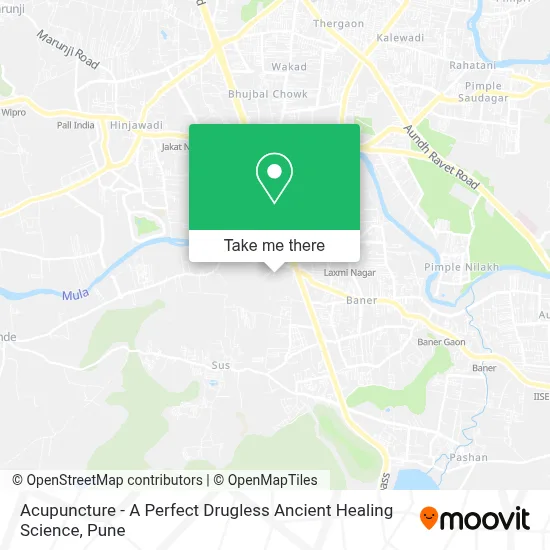 Acupuncture - A Perfect Drugless Ancient Healing Science map