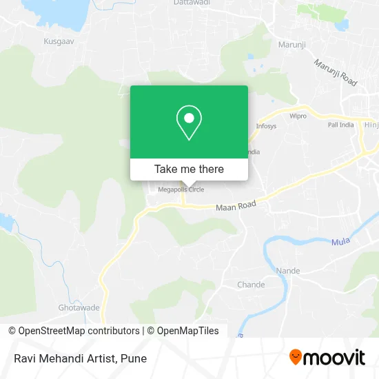 Ravi Mehandi Artist map