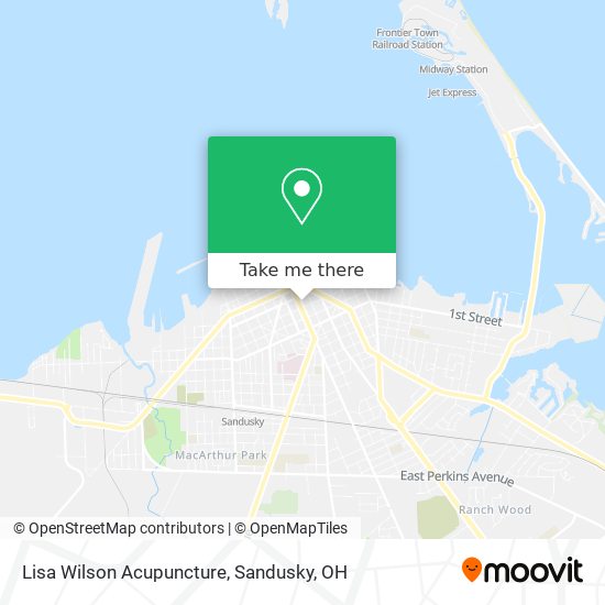 Lisa Wilson Acupuncture map