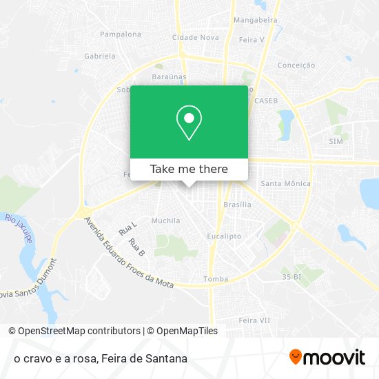 o cravo e a rosa map