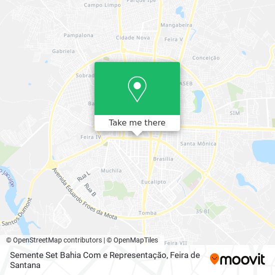 Semente Set Bahia Com e Representação map