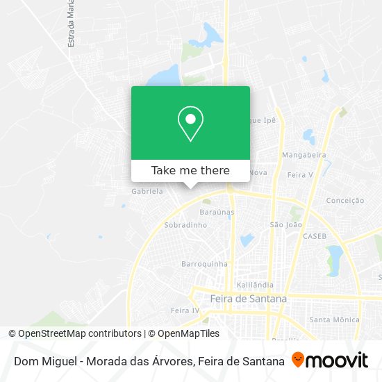 Dom Miguel - Morada das Árvores map