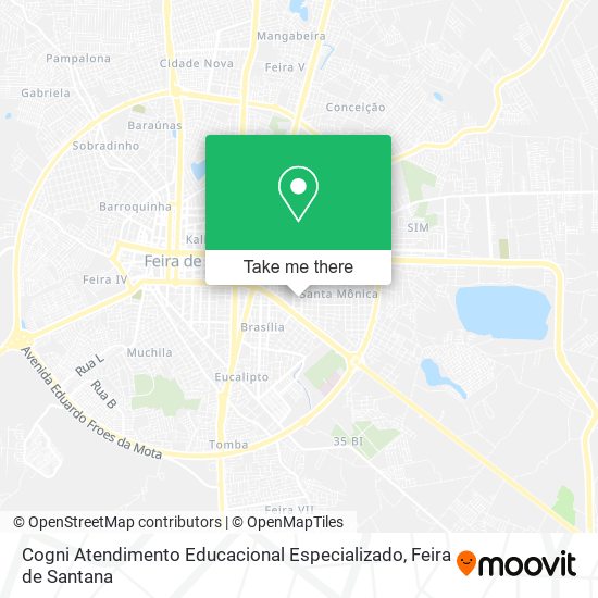 Mapa Cogni Atendimento Educacional Especializado