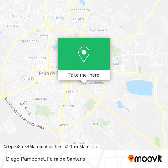 Diego Pamponet map