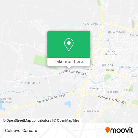 Coletivo map