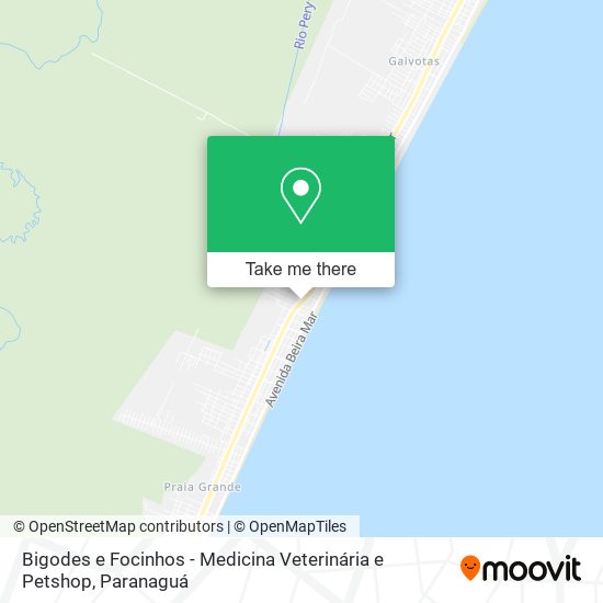 Bigodes e Focinhos - Medicina Veterinária e Petshop map