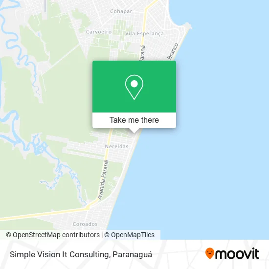 Simple Vision It Consulting map