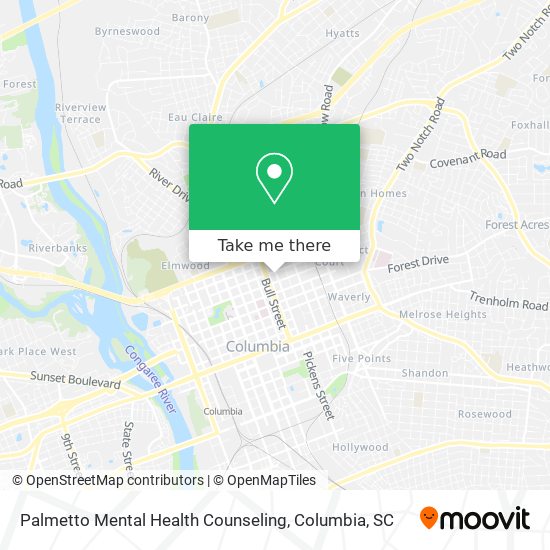 Mapa de Palmetto Mental Health Counseling