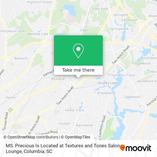 Mapa de MS. Precious Is Located at Textures and Tones Salon Lounge