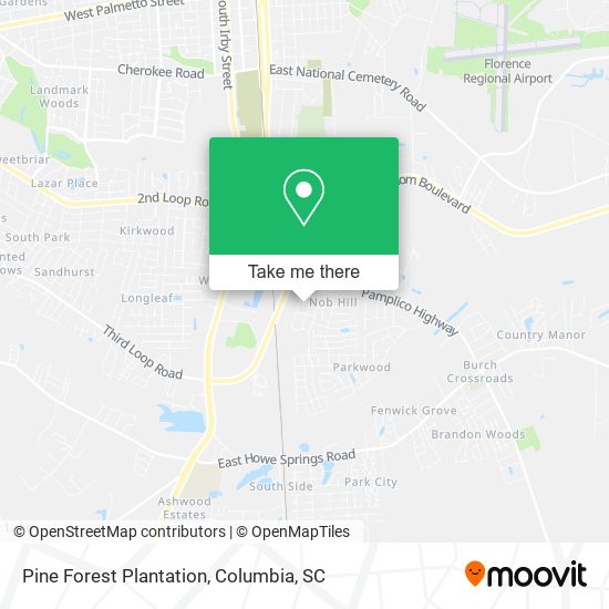 Pine Forest Plantation map