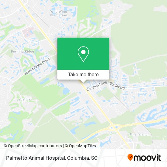 Mapa de Palmetto Animal Hospital