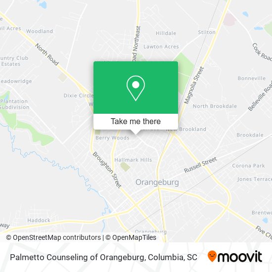 Mapa de Palmetto Counseling of Orangeburg