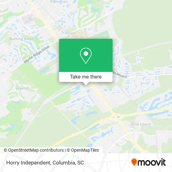 Horry Independent map