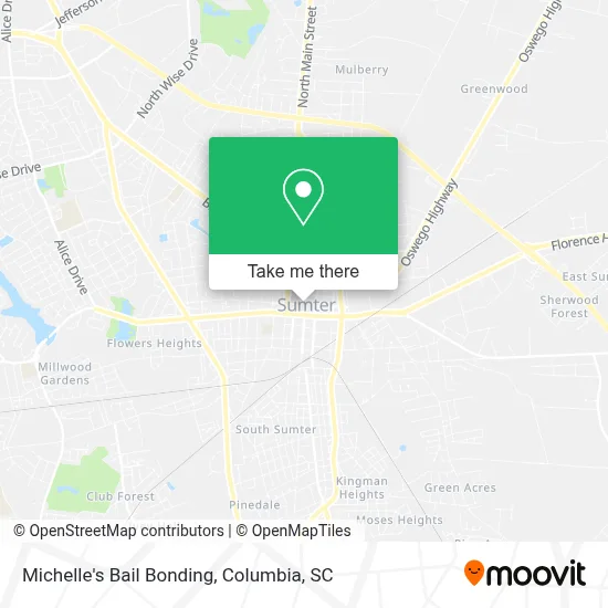 Michelle's Bail Bonding map