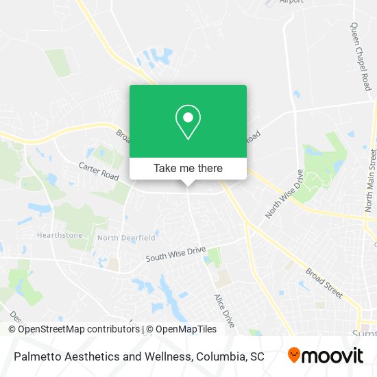 Palmetto Aesthetics and Wellness map