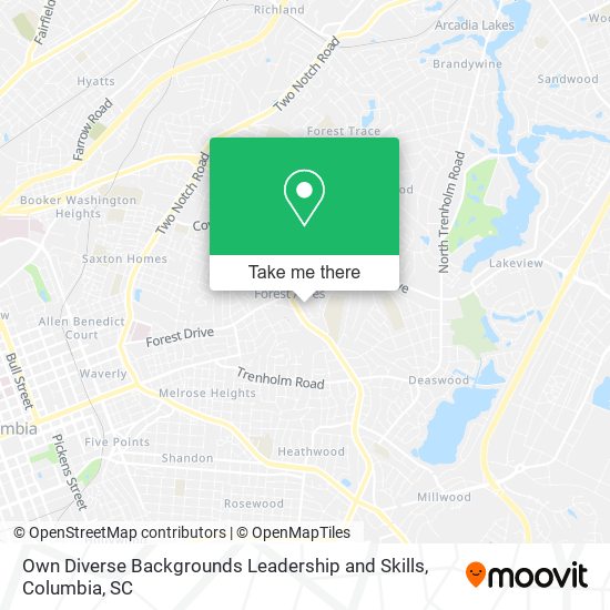 Mapa de Own Diverse Backgrounds Leadership and Skills