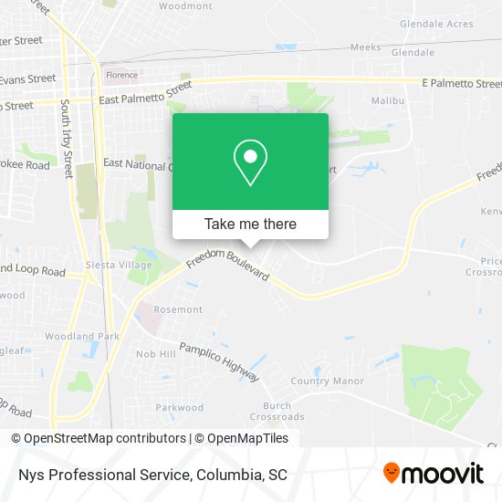 Nys Professional Service map