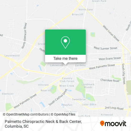 Palmetto Chiropractic Neck & Back Center map