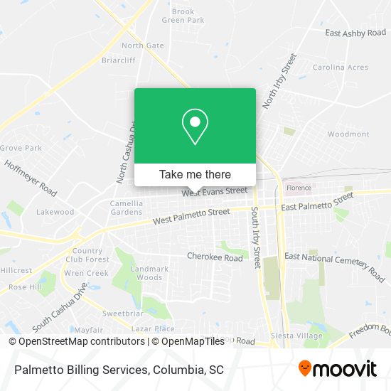 Palmetto Billing Services map